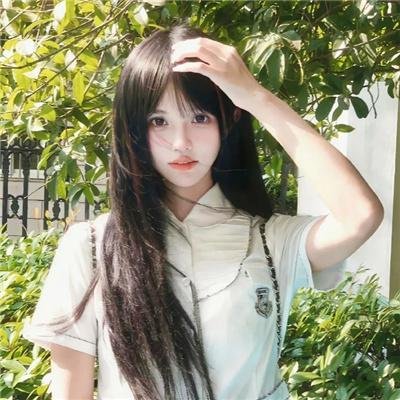 壳中少女 排气