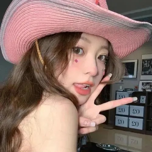 Zhainu Zhentan Guixiang